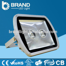 China Golden Supplier Zhongshan Guzhen Manufacturer High Power 100W LED Outside Flood Lights